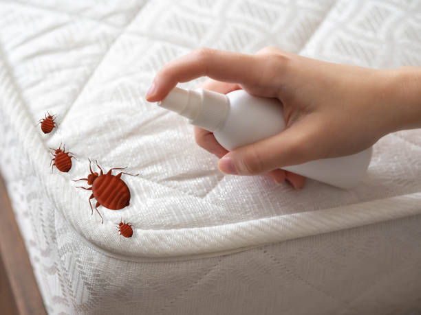 Best Pest Control for Businesses  in Anchorage, KY